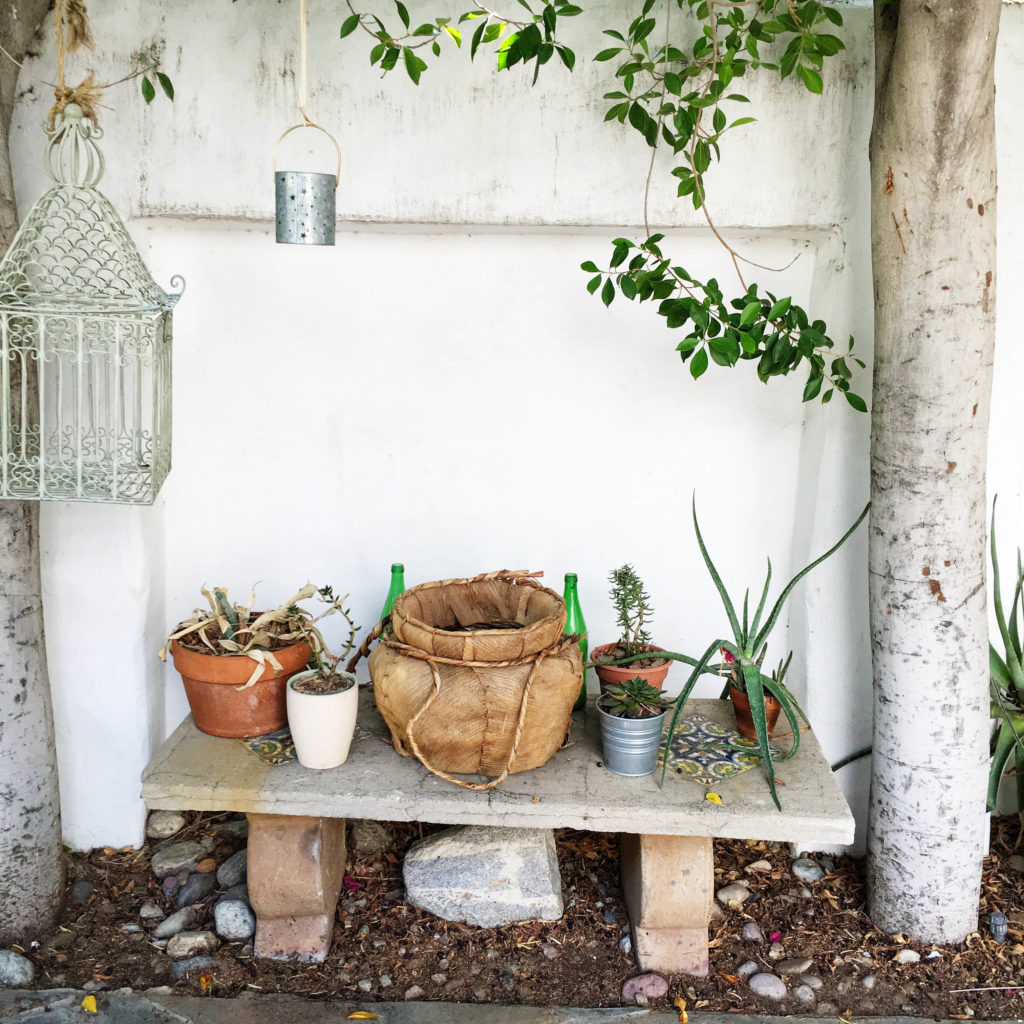 plants and outdoor decor 