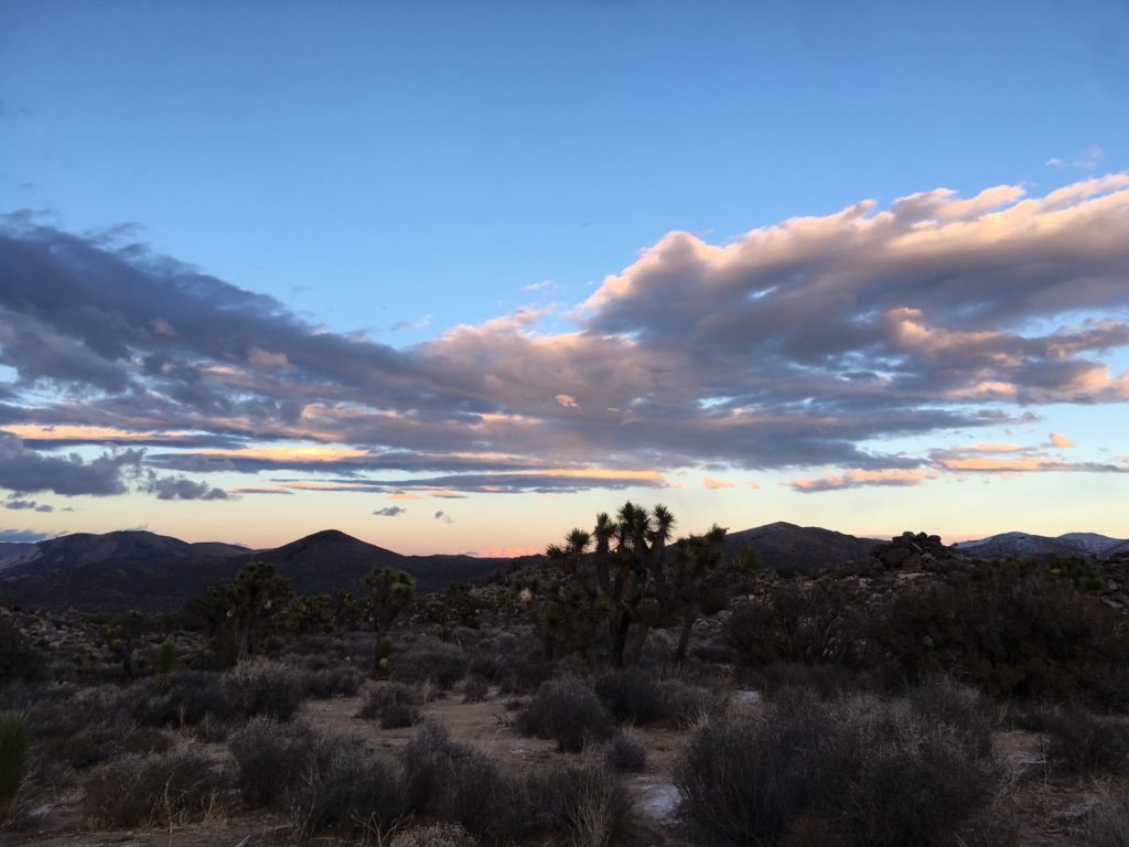 sunset view at Joshua Tree National Park by Amy Zhang the The Luxi LookBlogger