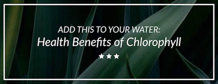 All the Details on CHLOROPHYLL and Why You Need To Add it To Your Water | by The Luxi Look