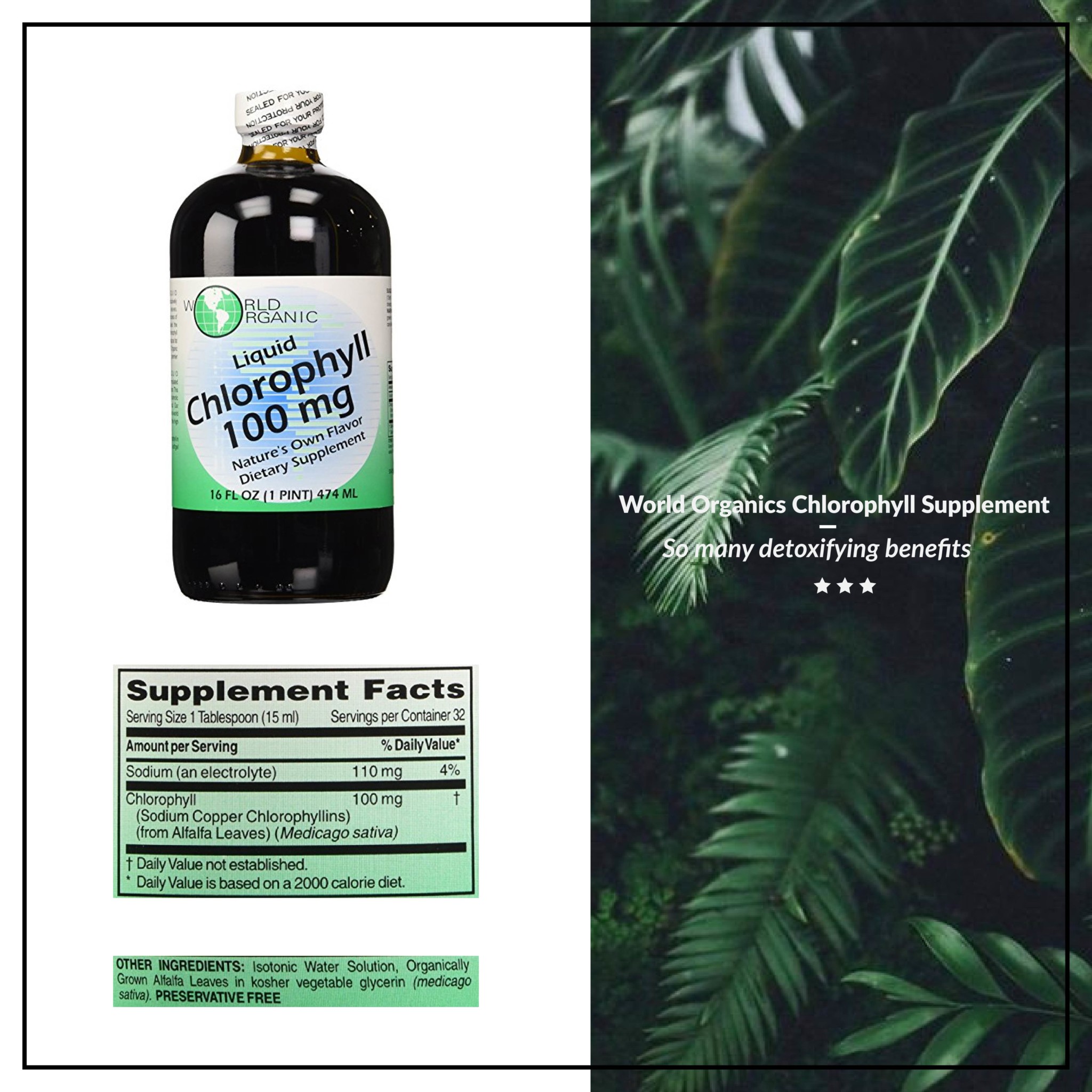 All the Details on CHLOROPHYLL and Why You Need it in Your Life