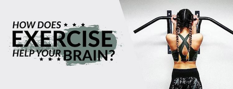 How Does Exercise Help Your Brain? | by The Luxi Look