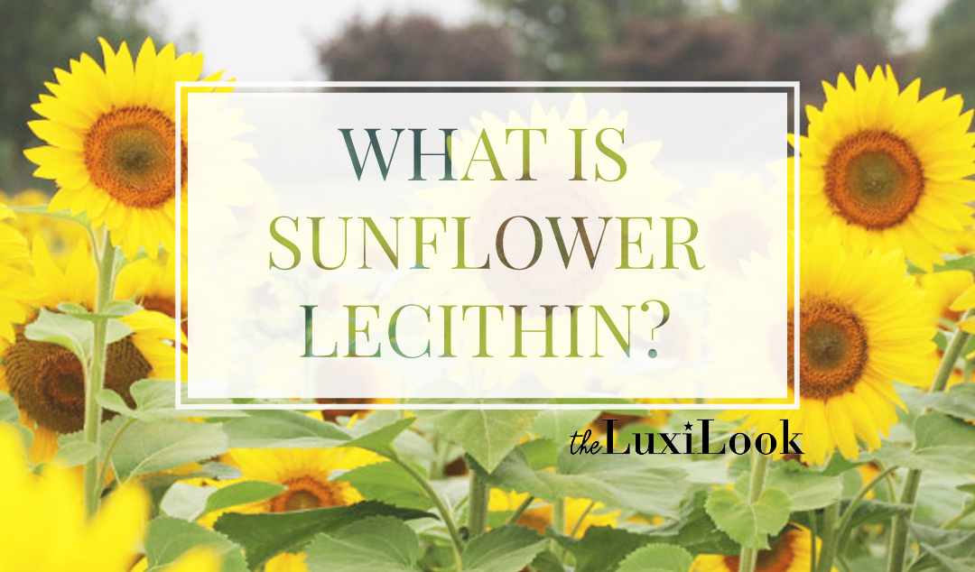 WTF is SUNFLOWER LECITHIN & What are the Benefits? | by The Luxi Look