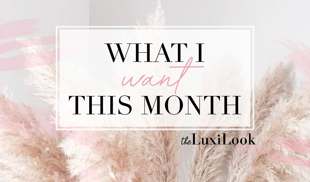 Olaplex Bond Smoother + What I Want This Month | by The Luxi look
