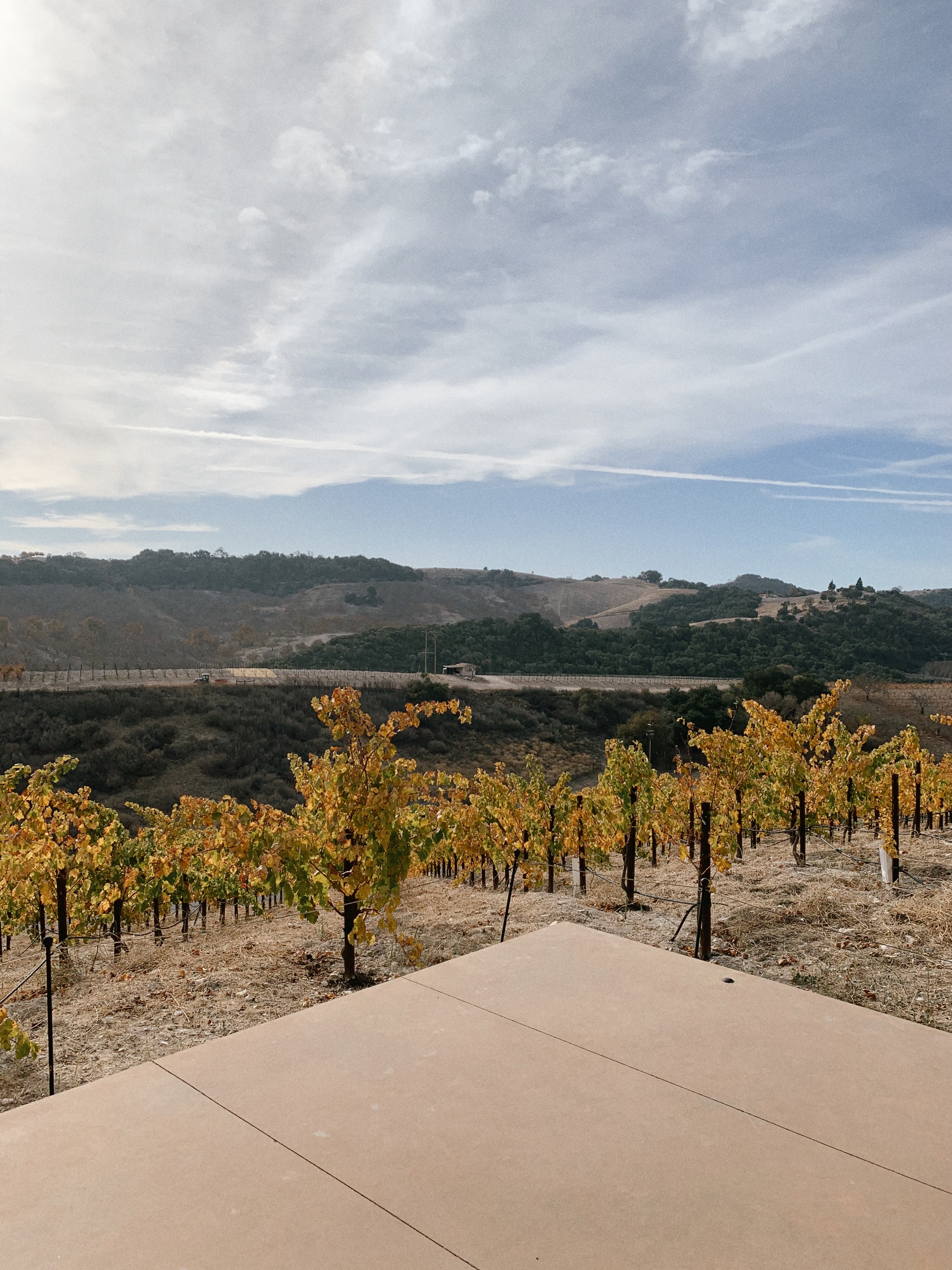 Paso Robles Winery & Travel Guide | by The Luxi Look